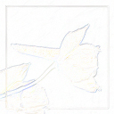 diffINV-p2p5