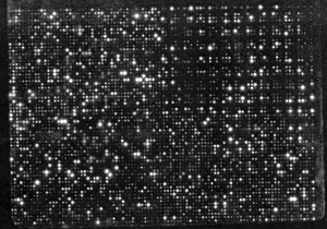 nylon filter array