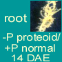 -P proteoid/+P normal roots 14 DAE